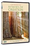 Echoes of Creation