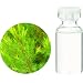 生活の木 オーガニックエッセンシャルオイル ティートゥリー 10ml