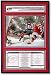 Cam Ward Carolina Hurricanes 2006 Stanley Cup Champions Frame (Carolina Hurricanes 4 - Edmonton Oilers 3)