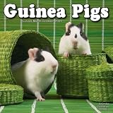 Guinea Pigs 2009 Wall Calendar 12 X 12