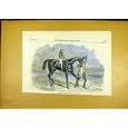 LANDGRAVE RACE-HORSE CAMBIRDGESHIRE NEWMARKET 1850
