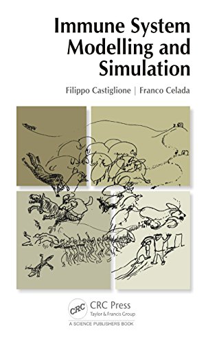 Immune System Modelling and Simulation