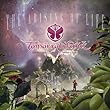 Tomorrowland 2013: Arising of Life