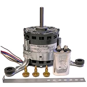 33 Rheem Blower Motor Wiring Diagram - Free Wiring Diagram Source