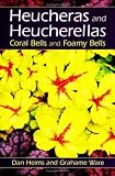Heucheras and Heucherellas: Coral Bells and Foamy Bells