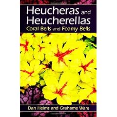 Heucheras and Heucherellas: Coral Bells and Foamy Bells