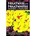 Heucheras and Heucherellas: Coral Bells and Foamy Bells