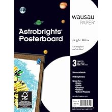 Wausau Paper Astrobrights Premium Poster Board, 3-Sheets, Bright White, 22 x 28-Inch (70619)