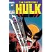 Incredible Hulk Visionaries - Peter David, Vol. 2 (v. 2)
