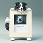 Border Collie - 2 1/2'' x 3 1/2'' Photo/Picture Frame