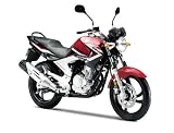 YAMAHA YBR250 レッド 250cc 中国輸入モデル・新車乗出し価格 2012年式