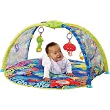 Fisher-Price Ocean Wonders Deep Blue Sea Gym