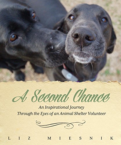 a second chance an inspirational journey through the eyes of an animal shelter volunteer
