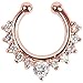 3 Piece Clip on Jewelry Creative Fake Septum Clicker Nose Ring