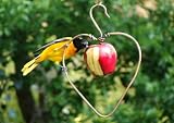 Copper Heart Bird Fruit Feeder