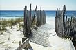 Canvas Art: Beach Access 24" x 36" [Kitchen]