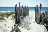 Canvas Art: Beach Access 24" x 36" [Kitchen]