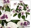Eight 10" Pansy Artificial Silk Flower Bushes for Home Decoration