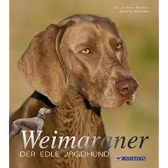 Weimaraner: Der edle Jagdhund