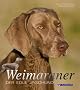 Weimaraner: Der edle Jagdhund