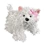 White Terrier Lil Kinz