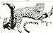 Black African Leopard Wall Decal Removable Mural Wall Stickers for Home Decor