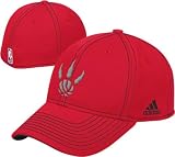Toronto Raptors Basic Logo Structured Flex Hat