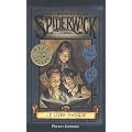 Les Chroniques de Spiderwick, Tome 1 : Le livre magique