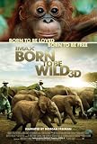 Born to Be Wild
