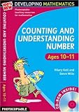 Buy : Counting and Understanding Number: Ages 10-11 100% New Developing Mathematics: 6
