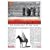 Lawrence of Arabia - Documentary DVD