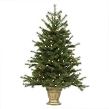 3.5' Pre-Lit Potted Redwood Christmas Tree - Clear Lights