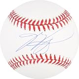 Mike Piazza Autographed MLB Baseball | Details: New York Mets