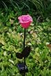 Solar Rose Garden Stake Statuary