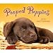 Pooped Puppies 2012 Boxed Calendar