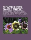 Populated coastal places in Somerset: Weston-super-Mare, Portishead, Somerset, Clevedon, Minehead, Burnham-on-Sea, Watchet, Selworthy