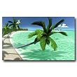 Tropical Beach Rhythm and Blues Mural