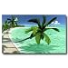 Tropical Beach Rhythm and Blues Mural