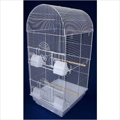 New Canary Parakeet Cockatiel LoveBird Finch Round Tall Bird Cage 14x16x31, 6604BLK