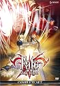 Fate Stay Night (Viridian Collection)