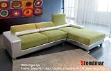 2pc Modern Function Sectional Sofa S905