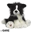 Webkinz Border Collie
