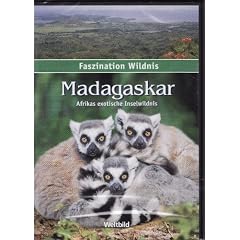 Faszination Wildnis - MADAGASKAR - Afrikas exotische Inselwildnis