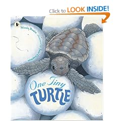 One Tiny Turtle