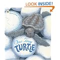 One Tiny Turtle