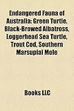 Endangered Fauna of Australia: Green Turtle, Black-Browed Albatross, Loggerhead Sea Turtle, Trout Cod, Southern Marsupial Mole-