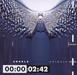 Anklicken zum Vergrößeren: Front 242 - Angels Versus Animals (Audio CD) Anklicken zum Vergrößeren: Front 242 - Angels Versus Animals (Audio CD)