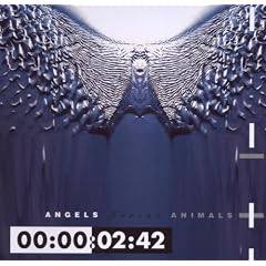 Angels Versus Animals