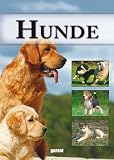 Hunde: VON AFFENPINSCHER BIS TIMBERWOLF