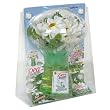 Carbona Deo Bouquet Daisy Freshener, 4.3-Ounce Bottle (Pack of 6)